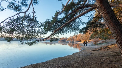Two people walking on the sandy path around the pond, in winter.